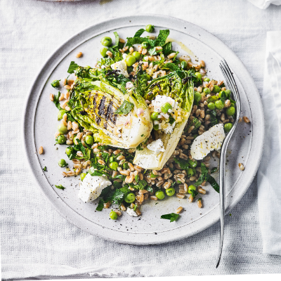 grilled-lettuce-pea-salad-with-spelt-goats-cheese